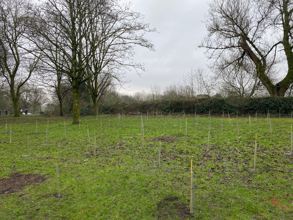 Queen's jubilee trees planted at Buile Hill Park by volunteers for Queen's Green Canopy