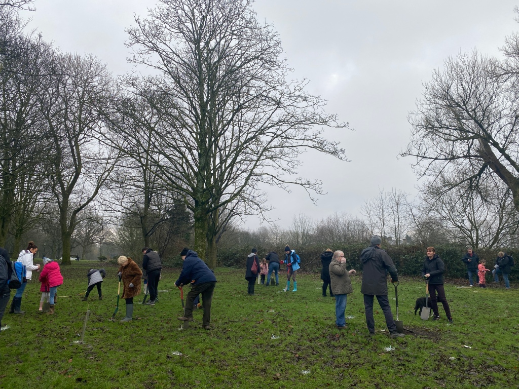 Volunteers plant over 100 trees in Buile Hill Park in aid of Queen’s Green Canopy&nbsp;initiative